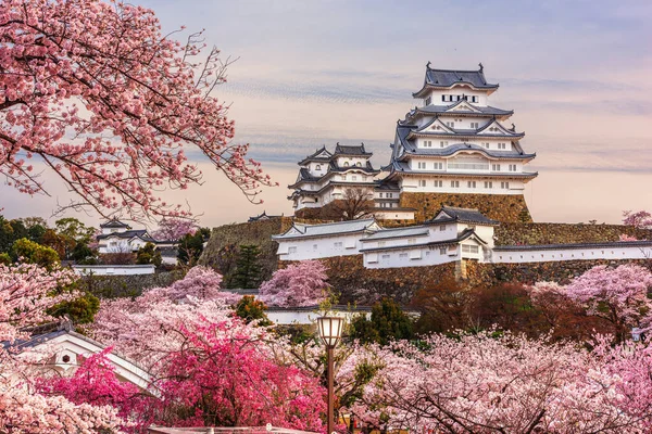 Himeji Japão Castelo Himeji Durante Temporada Flores Cereja Primavera — Fotografia de Stock