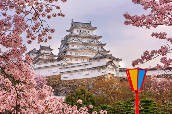 Himeji Japonsko Hradě Himedži Sezóně Jaro Třešňový Květ — Stock fotografie