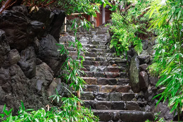 Escalones Piedra Ocultos Kyoto Japón —  Fotos de Stock