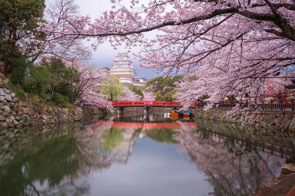 Himeji Japan Himeji Castle Surrounding Moat Spring Season Dusk — Stock Photo, Image