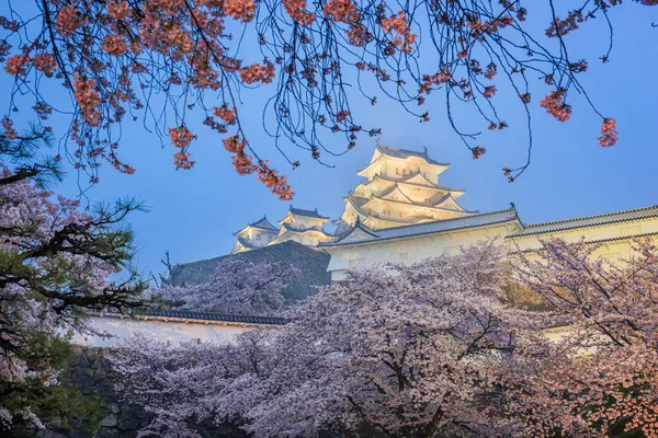 Himeji Japón Castillo Himeji Durante Temporada Flores Cerezo Crepúsculo —  Fotos de Stock