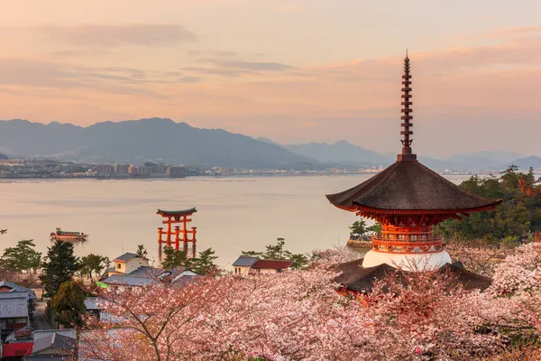 Isola Miyajima Hiroshima Giappone Primavera Tramonto — Foto Stock