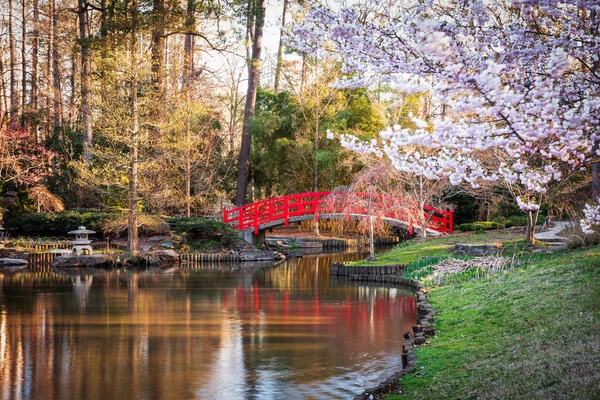 Japanse Tuinen Het Voorjaar — Stockfoto