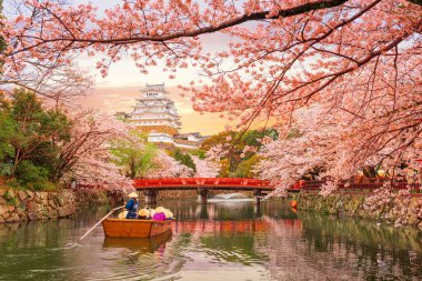 Himeji, Japonya 'nın Himeji Kalesi hendeğinde bahar mevsiminde.