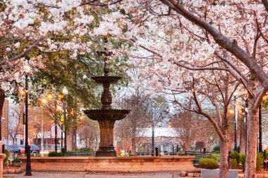 Macon, Georgia, ABD İlkbahar mevsiminde şehir meydanında çeşmeyle.