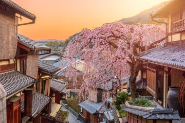 Kyoto, Japonya 'da ilkbahar tarihi Higashiyama bölgesi sanat şafağında.