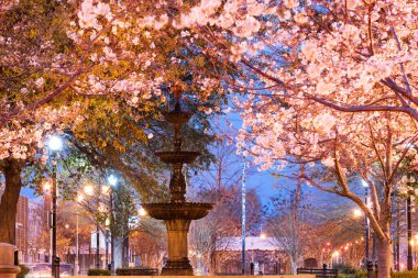Macon, Georgia, ABD İlkbahar mevsiminde şehir meydanında çeşmeyle.