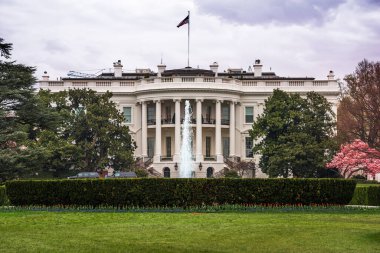 Washington, DC Beyaz Saray ve çimenlikte.
