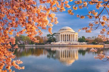 Washington, Dc deprem Havzası ve Jefferson Memorial bahar sırasında.