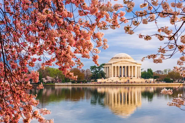 Washington Tidal Basin Jefferson Memorial Durante Primavera — Fotografia de Stock