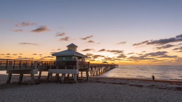 Джуно Флорида Сша Juno Beach Pier Незадолго Восхода Солнца — стоковое видео