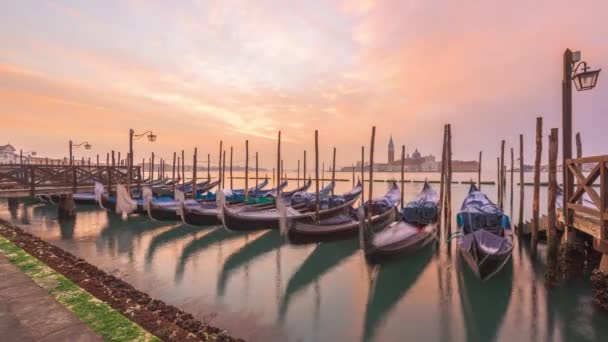 意大利威尼斯的贡多拉 黎明时分在大运河上 — 图库视频影像