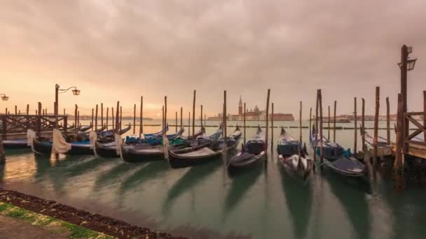 Gondeln Venedig Italien Morgengrauen Auf Dem Canal Grande — Stockvideo