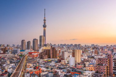 Tokyo, Japonya alacakaranlıkta Sumida bölgesinde ufuk çizgisi.