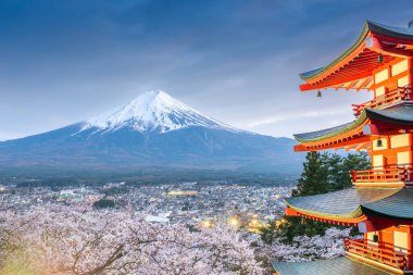 Mt. Fuji ve pagoda Japonya 'nın Fujiyoshida şehrinde bahar mevsiminde kiraz çiçekleriyle görüldü..
