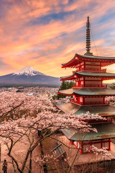 Fuji Pagoda Japán Fujiyoshidából Tavaszi Szezonban Cseresznyevirágzással — Stock Fotó