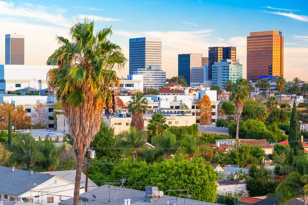 Beverly Hills Kalifornien Usa Dachhimmelblick Mit Schwerpunkt Auf Palmen — Stockfoto