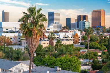 Beverly Hills, California, ABD Çatısı manzaralı Palmiye ağaçlarına odaklı.
