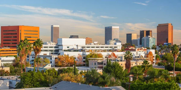 Beverly Hills California Abd Çatısı Manzaralı Palmiye Ağaçlarına Odaklı — Stok fotoğraf