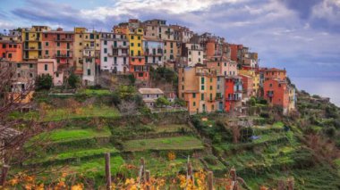 Corniglia, alacakaranlıkta tepe kenarlı terasları olan İtalya.
