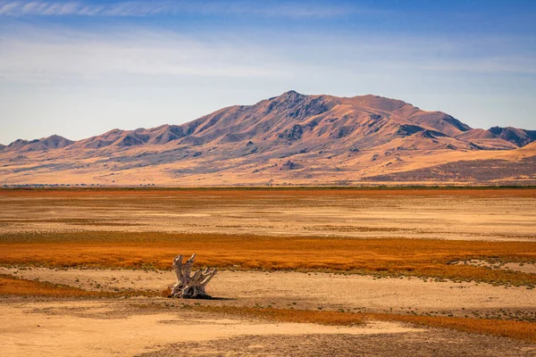 Salt Lake City Γιούτα Ηπα Άγονο Τοπίο Στη Μεγάλη Salt — Φωτογραφία Αρχείου