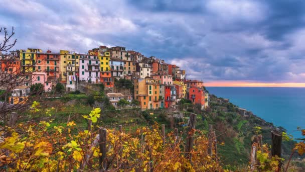 Corniglia Talya Cinque Terre Bölgesi Nde Sonbaharda Alacakaranlıkta — Stok video