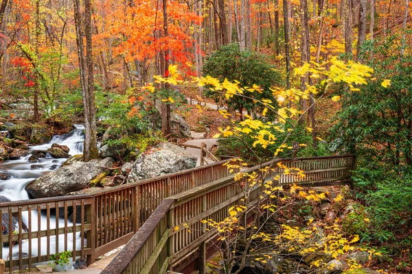 秋天通往美国佐治亚州安娜 鲁比瀑布的桥 — 图库照片