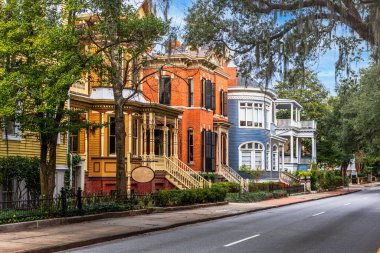 Savannah, Georgia, ABD Whitaker Caddesi boyunca tarihi manzaralar.