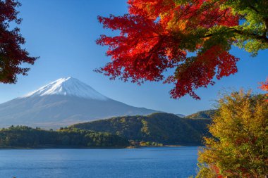 Mt. Fuji Japonya Kawaguchi Gölü Sonbahar sezonu '.