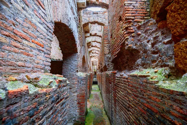 Ram Italien December 2021 Colosseum Underjordiska Gångvägar Och Tunnlar — Stockfoto