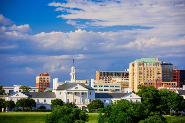 Richmond, Virginia, ABD şehir cityscape ve tarihi mimarisi.