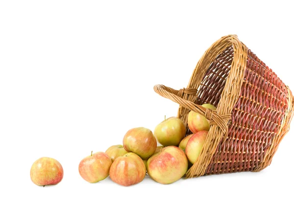 Apples pour out from a basket on a white background — Stock Photo, Image