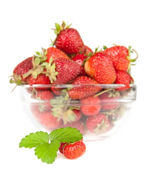 Berry of strawberry with a sheet on a background a dish with a s — Stock Photo, Image