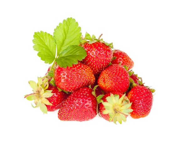 Strawberry poured a bunch of the leaf on a white — Stock Photo, Image