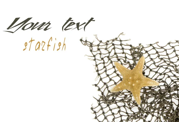 Starfish lies on a fishing net — Stock Photo, Image