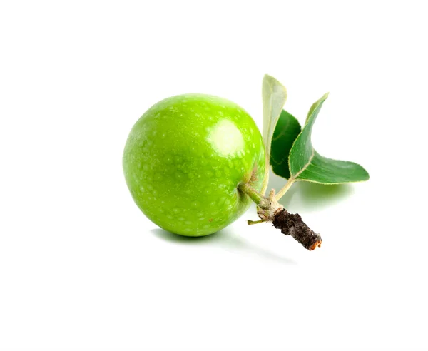 Pomme verte avec des feuilles couchées sur un fond blanc — Photo