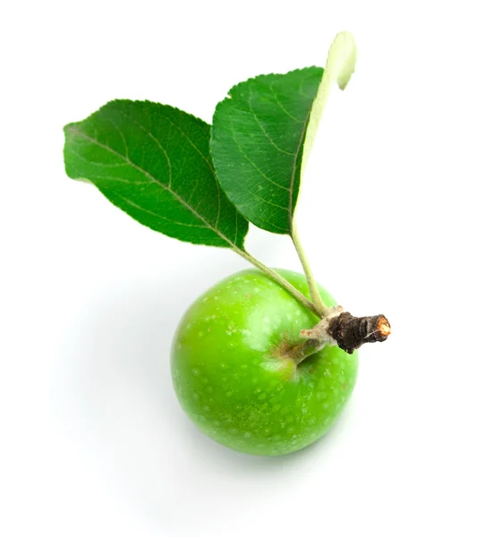 Green apple with a branch in isolation — Stock Photo, Image