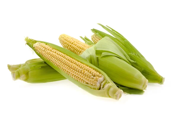Corn with leaves on a white background — Stock Photo, Image