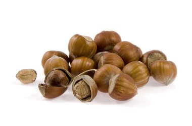 fındık bir yığın yalan söylüyor.