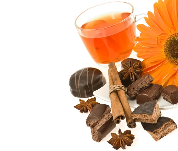 Tea, chocolate, anise, cinnamon and flower of gerbera — Stock Photo, Image