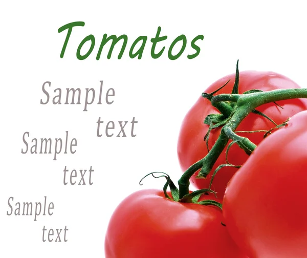 Background of the three tomato on a green branch in isolation — Stock Photo, Image