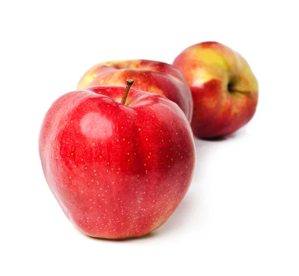 Trois pommes rouges se tiennent en une rangée sur un fond blanc — Photo