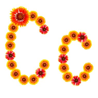 bir alfabe sarıdan İngilizce