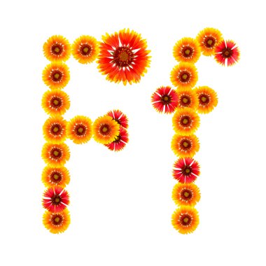 bir alfabe sarıdan İngilizce