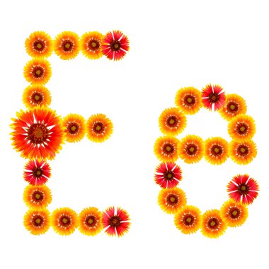 bir alfabe sarıdan İngilizce