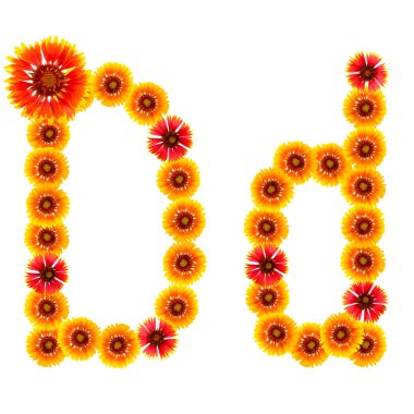 bir alfabe sarıdan İngilizce