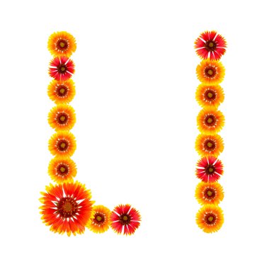 bir alfabe sarıdan İngilizce