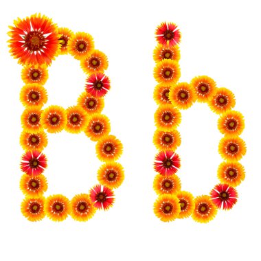 bir alfabe sarıdan İngilizce