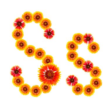 bir alfabe sarıdan İngilizce