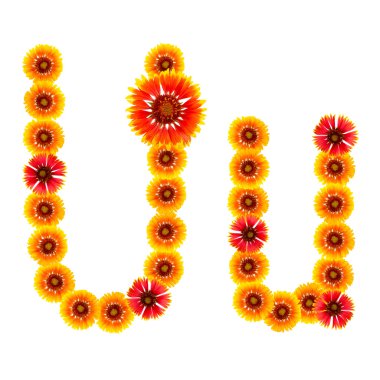 bir alfabe sarıdan İngilizce